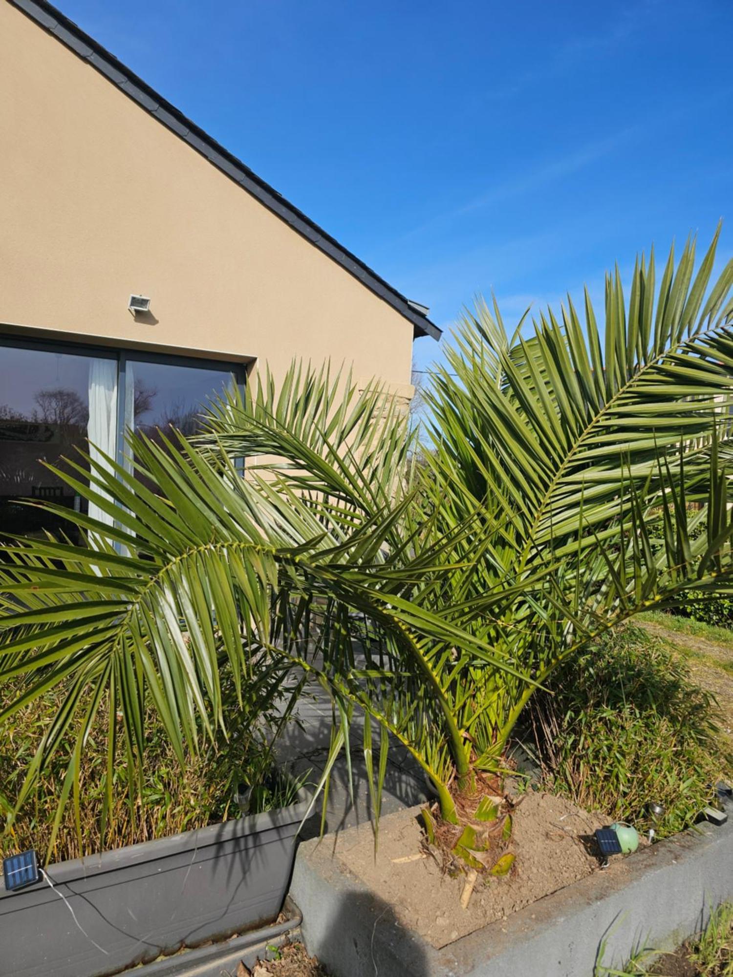 Gîte Camaloth - Closeries du Golfe Theix Extérieur photo
